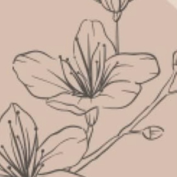 amypam04